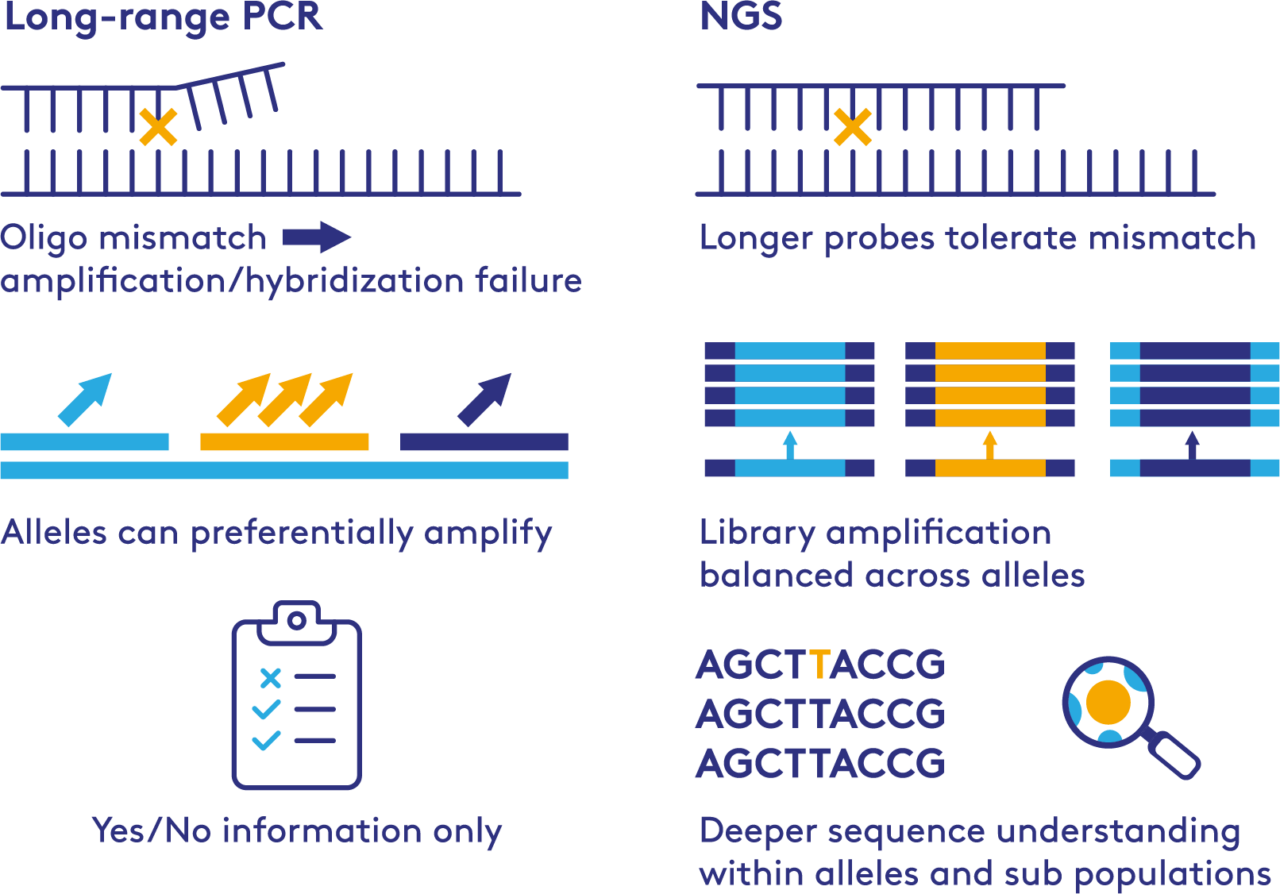 HLA Genotyping | PathoQuest