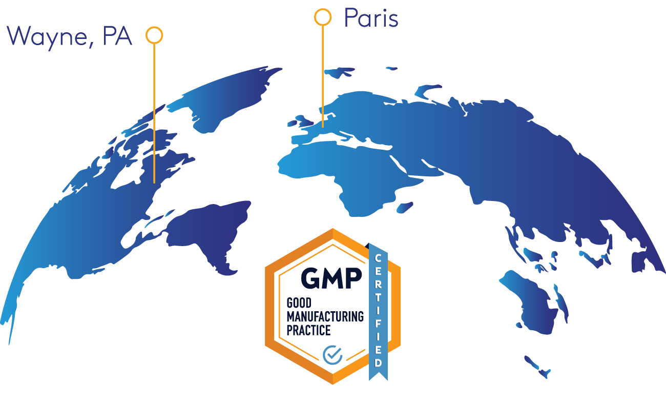Globe-Graphic-2025-Update-Resized