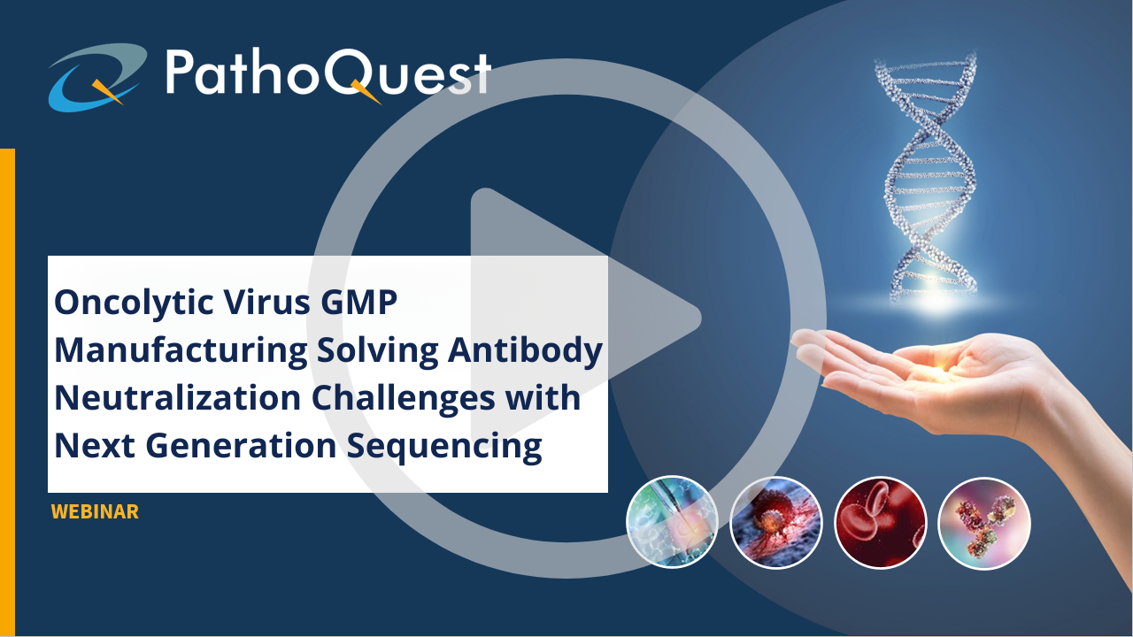 WEBINAR NOVEMBER 2025 Webinar 06/2025<br />